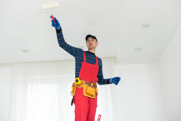 Best Water-Damaged Drywall Repair  in Lake Shore, WA